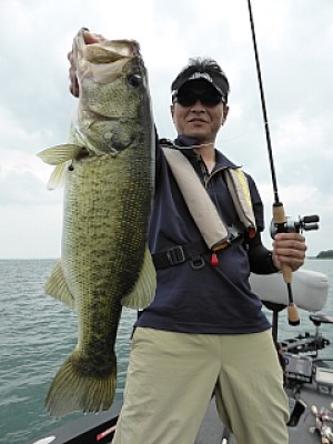 truth news ブログ写真 2013/09/15