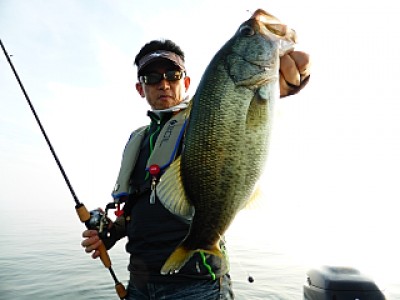 truth news ブログ写真 2013/09/15