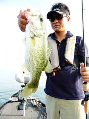 truth news ブログ写真 2013/09/15