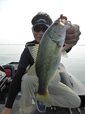 truth news ブログ写真 2013/09/15