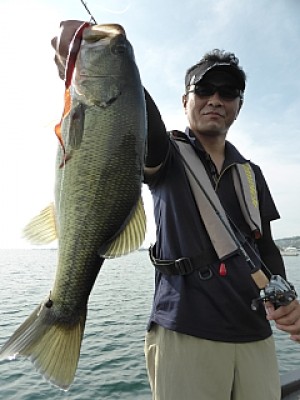 truth news ブログ写真 2013/09/15