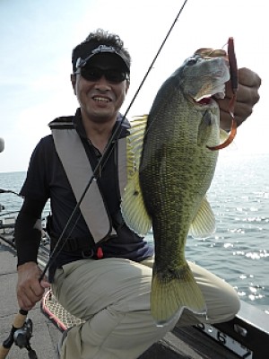 truth news ブログ写真 2013/09/15