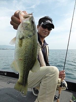 truth news ブログ写真 2013/09/15