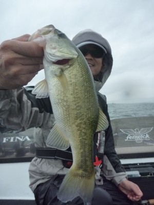 truth news ブログ写真 2013/09/15