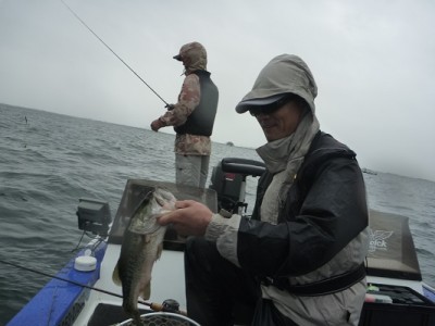 truth news ブログ写真 2013/09/15