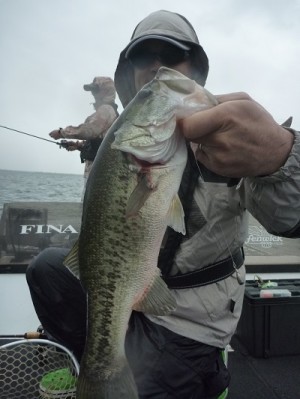 truth news ブログ写真 2013/09/15