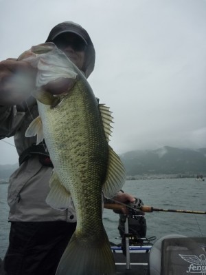 truth news ブログ写真 2013/09/15