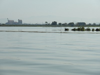 truth news ブログ写真 2013/09/19