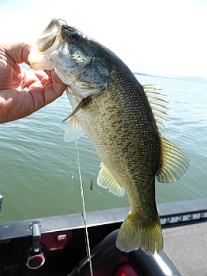 truth news ブログ写真 2013/09/19