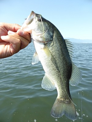 truth news ブログ写真 2013/09/19