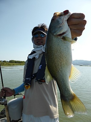 truth news ブログ写真 2013/09/19