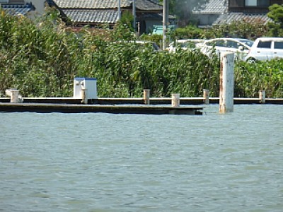 truth news ブログ写真 2013/09/20