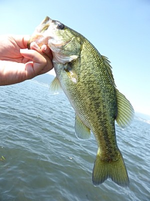 truth news ブログ写真 2013/09/20