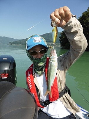 truth news ブログ写真 2013/09/21