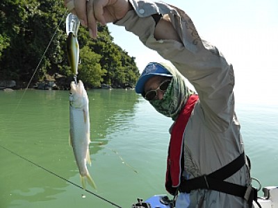 truth news ブログ写真 2013/09/21