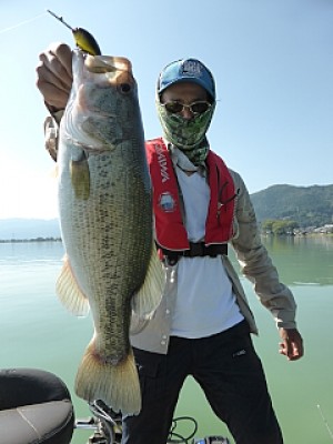 truth news ブログ写真 2013/09/21