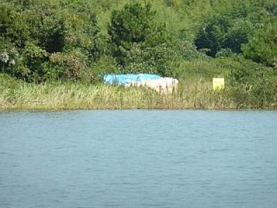 truth news ブログ写真 2013/09/22