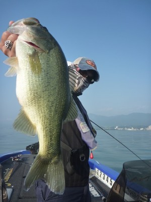 truth news ブログ写真 2013/09/23