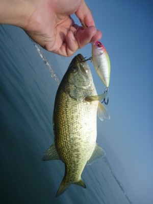 truth news ブログ写真 2013/09/23