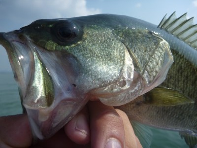 truth news ブログ写真 2013/09/23