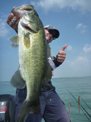 truth news ブログ写真 2013/09/23