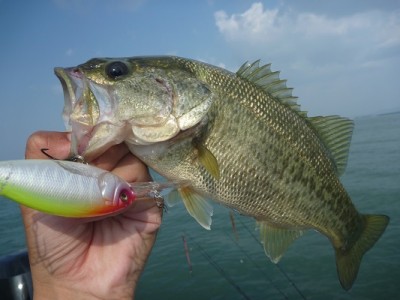 truth news ブログ写真 2013/09/23