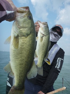 truth news ブログ写真 2013/09/23