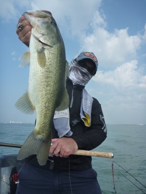 truth news ブログ写真 2013/09/23