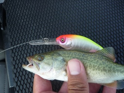 truth news ブログ写真 2013/09/23