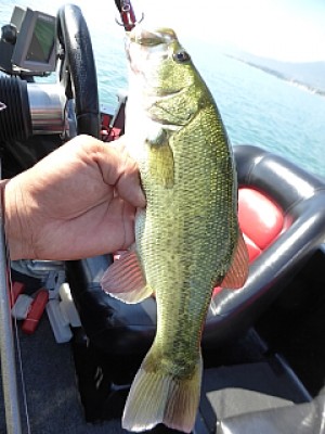 truth news ブログ写真 2013/09/25