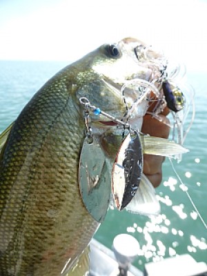 truth news ブログ写真 2013/09/25