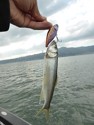 truth news ブログ写真 2013/09/25