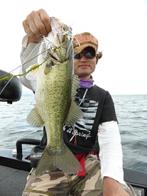 truth news ブログ写真 2013/09/25