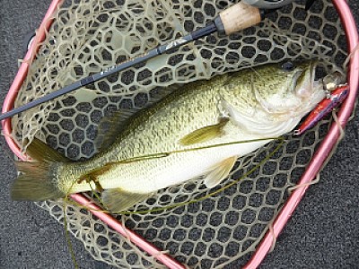 truth news ブログ写真 2013/09/25