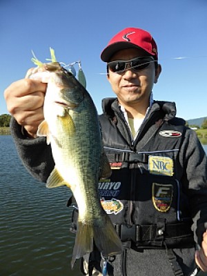 truth news ブログ写真 2013/09/28