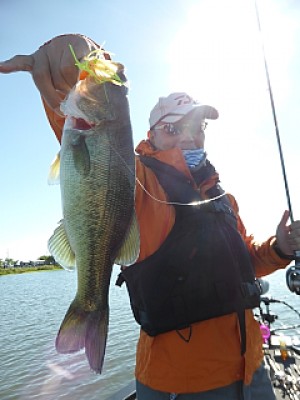 truth news ブログ写真 2013/09/28