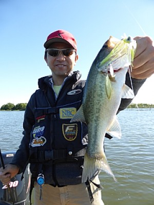 truth news ブログ写真 2013/09/28