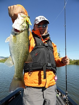 truth news ブログ写真 2013/09/28