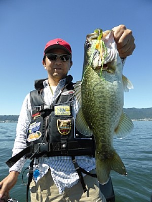 truth news ブログ写真 2013/09/28