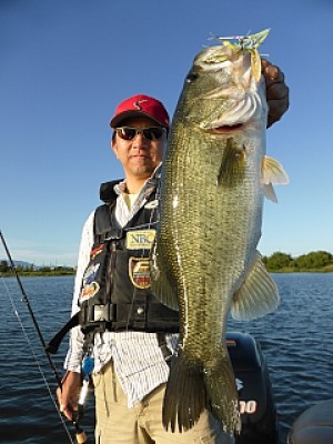 truth news ブログ写真 2013/09/28