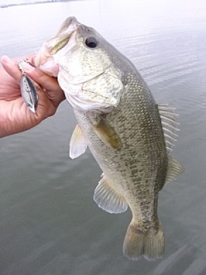 truth news ブログ写真 2013/10/06