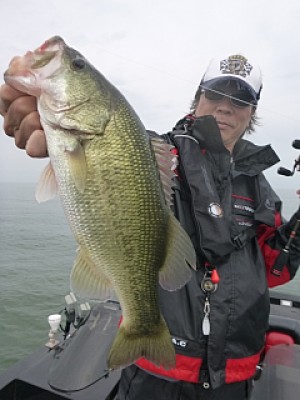 truth news ブログ写真 2013/10/06