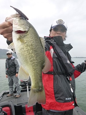 truth news ブログ写真 2013/10/06