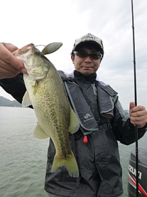 truth news ブログ写真 2013/10/06