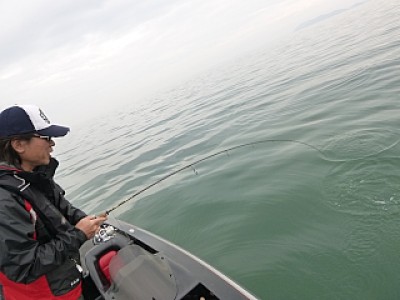 truth news ブログ写真 2013/10/06