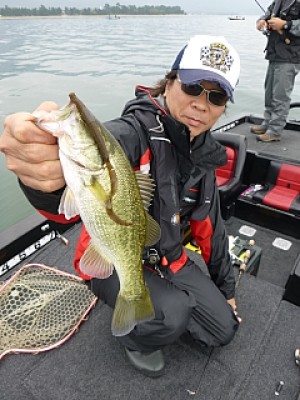 truth news ブログ写真 2013/10/06