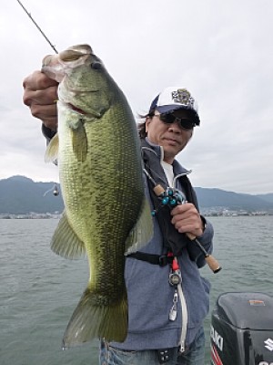 truth news ブログ写真 2013/10/06