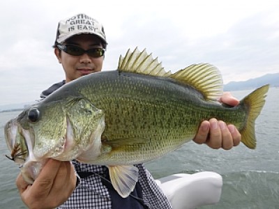 truth news ブログ写真 2013/10/06