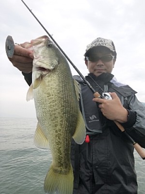 truth news ブログ写真 2013/10/06