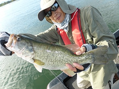 truth news ブログ写真 2013/10/11